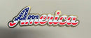 AMERICA Patriotic Patch Hat