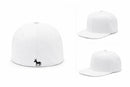 BIG ASS HATS